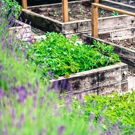 Hotel The Punch Bowl 5*